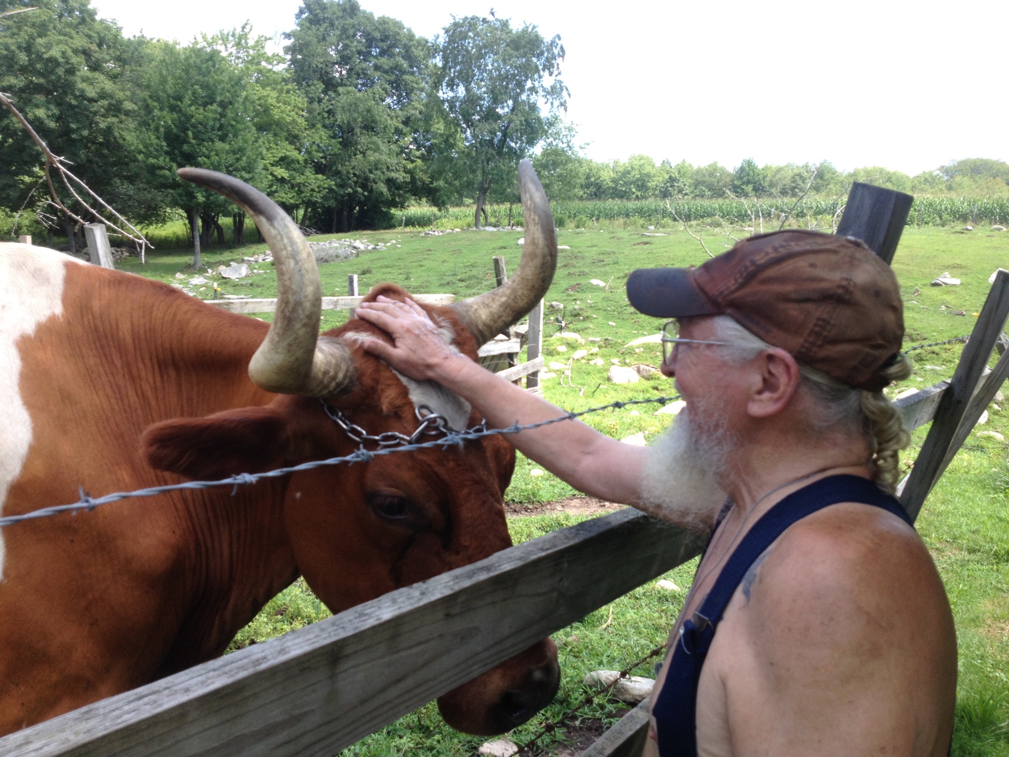 the-stove-on-the-farm-of-bread-and-milk-street-evansville-antique